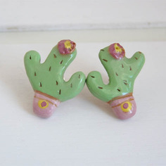 Orecchini a lobo piantine grasse 