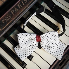 Papillon artigianale da donna akaibara – pois nero su fondo bianco di seta con inserto in pelle di serpente rosso 