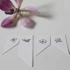 Etichette con i fiori di primavera 