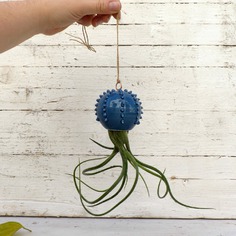 Cactopus vaso da appendere per piantine aeree in ceramica blu chiaro - su ordinazione 