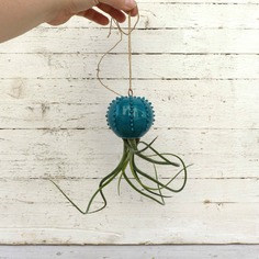 Cactopus vaso da appendere per piantine aeree in ceramica verde acqua - su ordinazione 